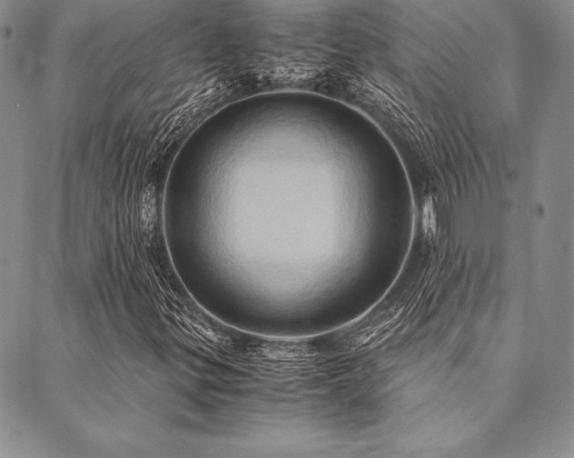 X0000090491299200707131317