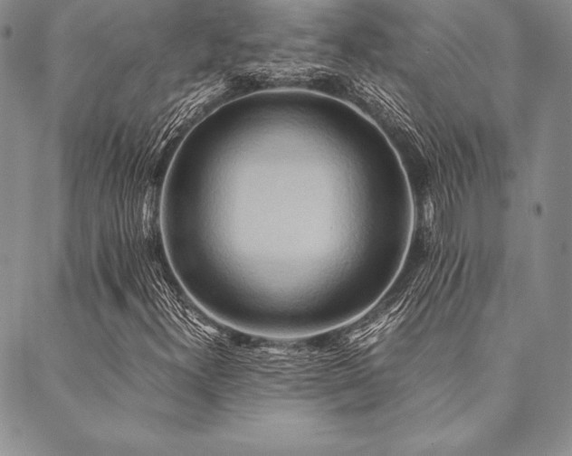 X0000090491300200707131317