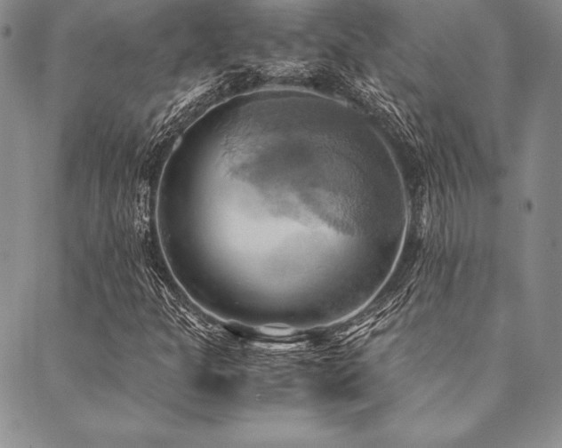 X0000090491301200707131317