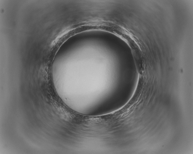 X0000090491304200707131317