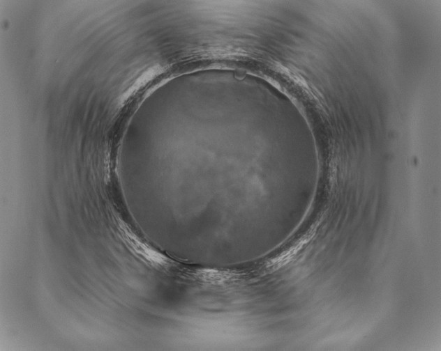 X0000090491306200707131317