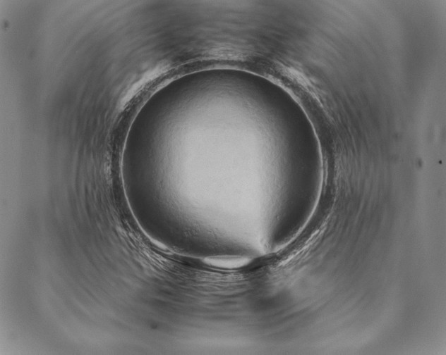 X0000090491307200707131317