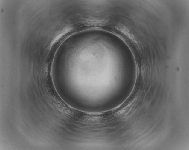 X0000090491309200707131317