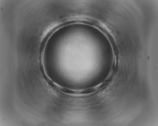X0000090491312200707131317