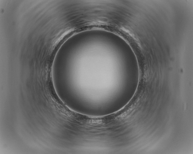 X0000090491313200707131317