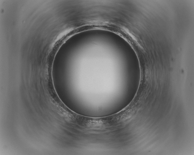 X0000090491315200707131317