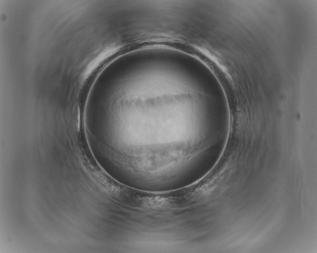 X0000090491317200707131317