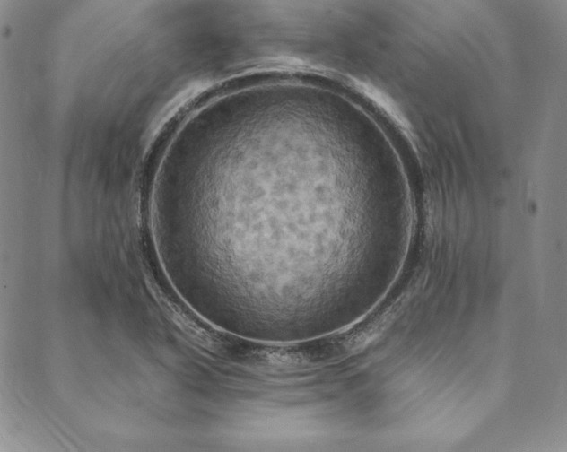 X0000090491318200707131317