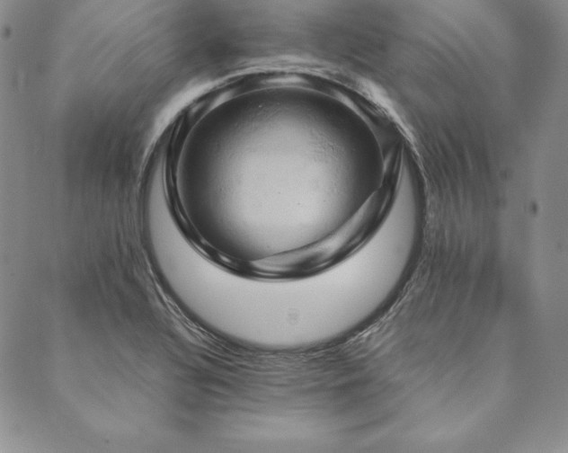 X0000090491320200707131317