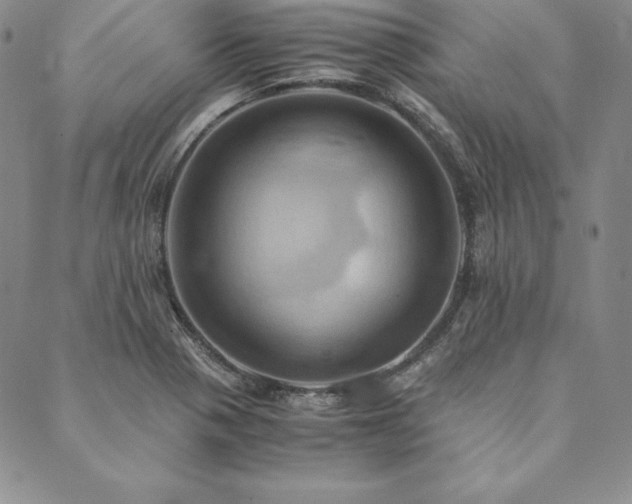 X0000090491321200707131317