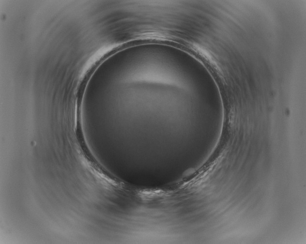X0000090491323200707131317