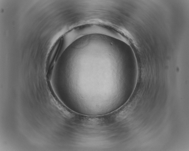 X0000090491326200707131317