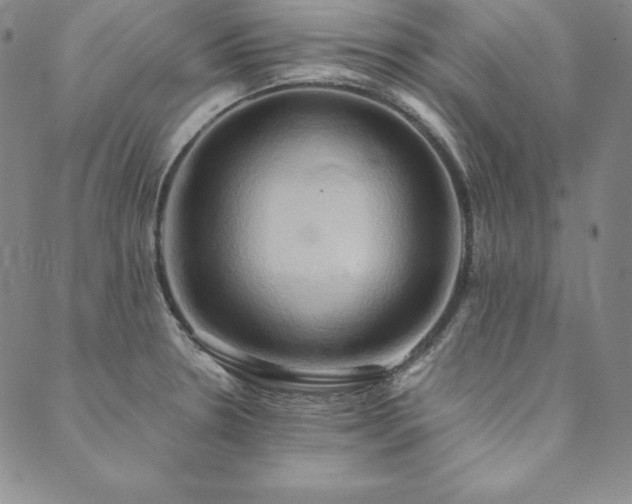 X0000090491330200707131318