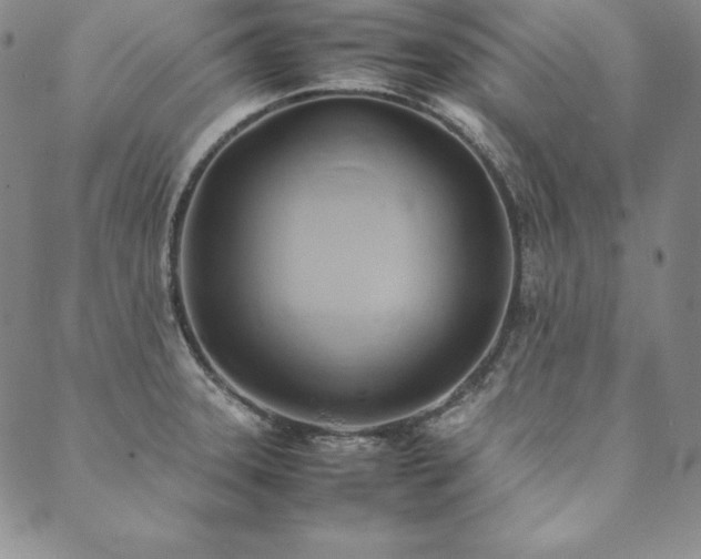 X0000090491331200707131318