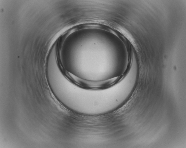 X0000090491332200707131318