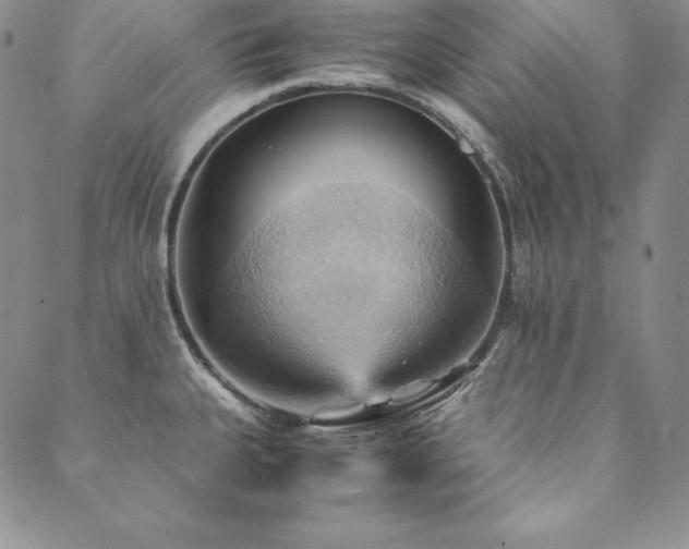 X0000090491335200707131318
