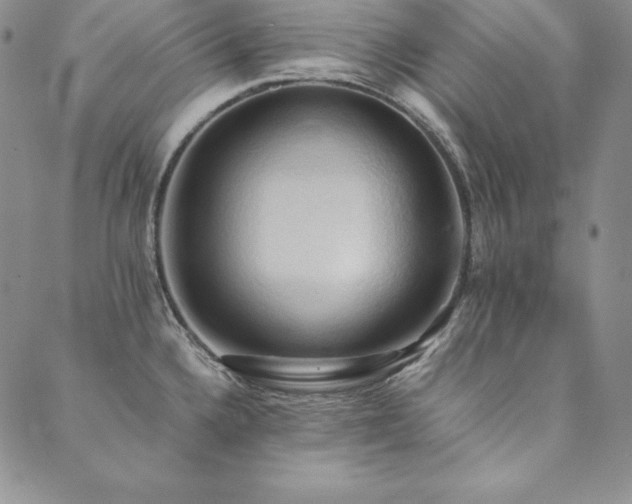 X0000090491336200707131318