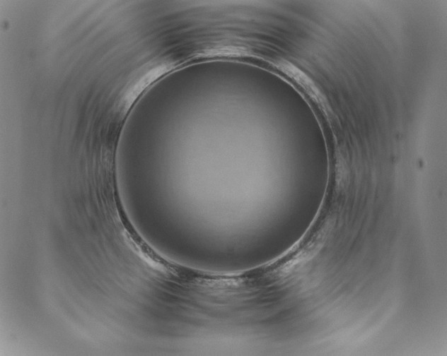 X0000090491337200707131318