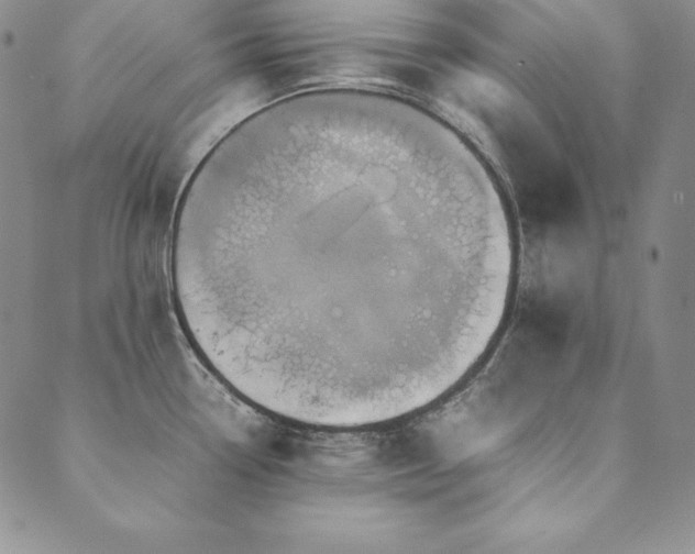 X0000090491338200707131318