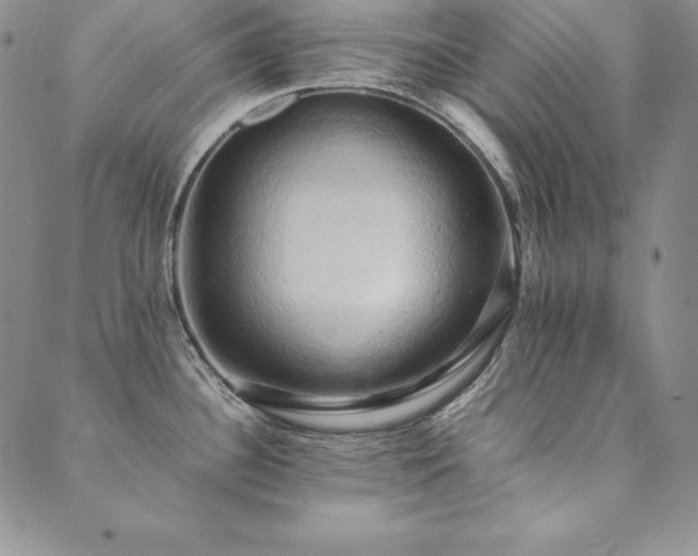 X0000090491340200707131318
