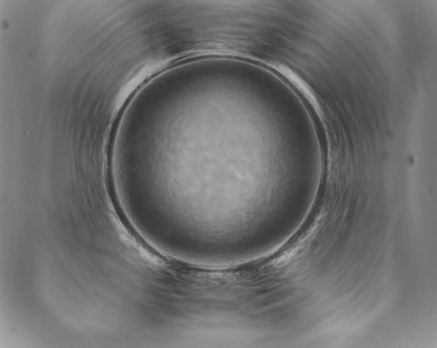 X0000090491341200707131318