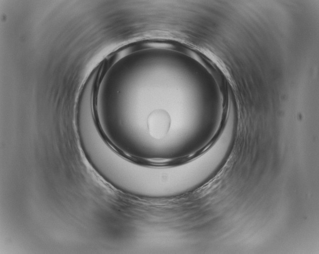 X0000090491342200707131318