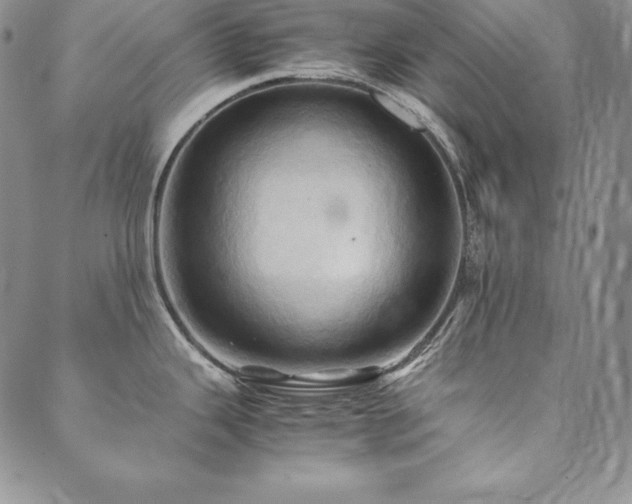 X0000090491343200707131318