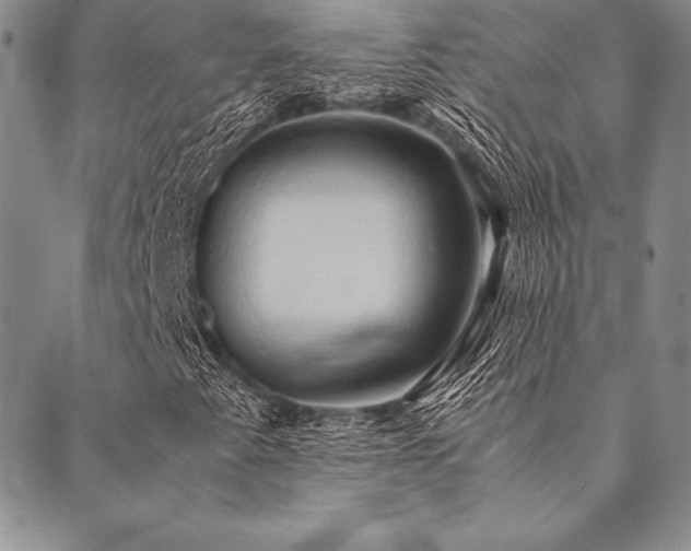 X0000090491345200707131317