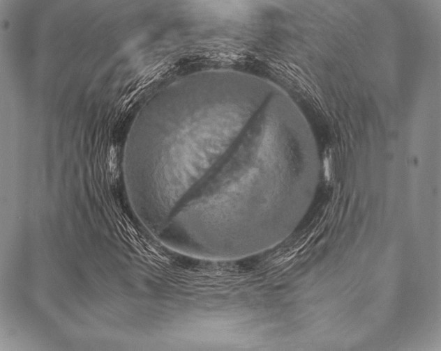 X0000090491347200707131317