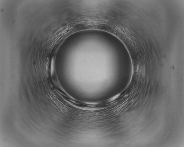 X0000090491348200707131317
