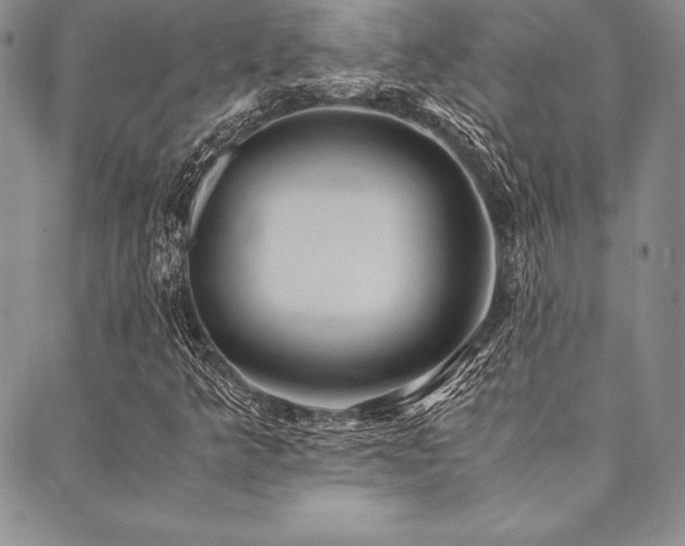 X0000090491349200707131317