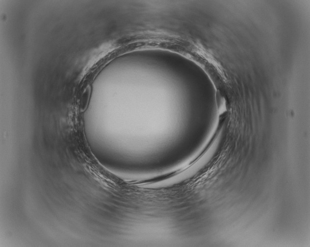 X0000090491352200707131317
