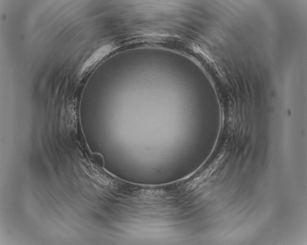 X0000090491354200707131317