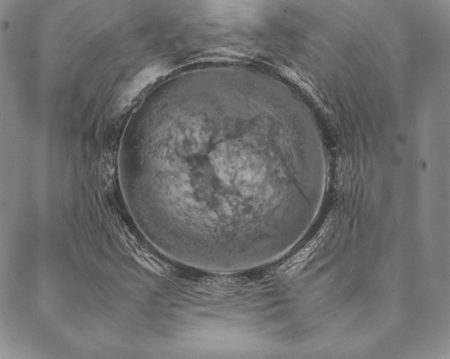 X0000090491355200707131317