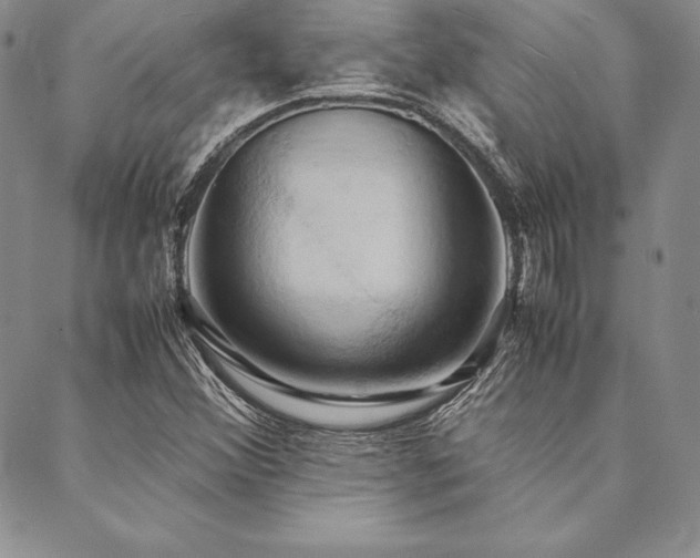 X0000090491356200707131317