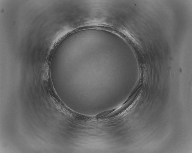 X0000090491358200707131317