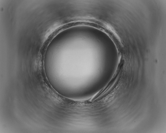 X0000090491360200707131317
