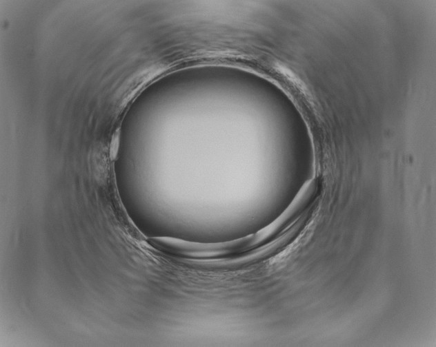 X0000090491361200707131317