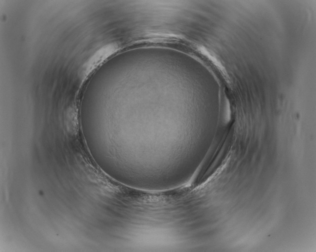 X0000090491362200707131317