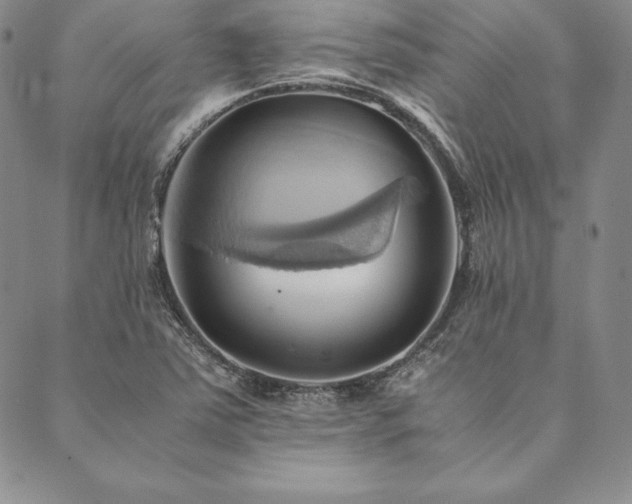 X0000090491363200707131317