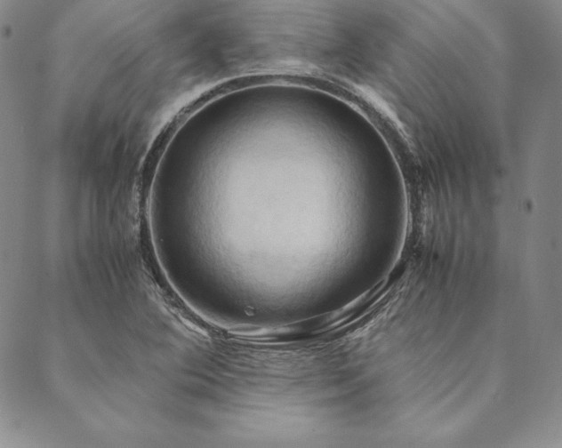 X0000090491364200707131317