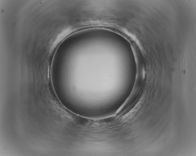 X0000090491365200707131317