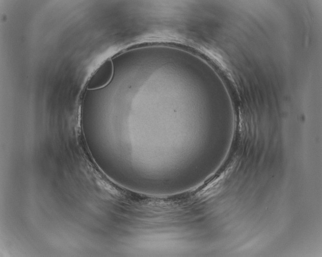 X0000090491366200707131317