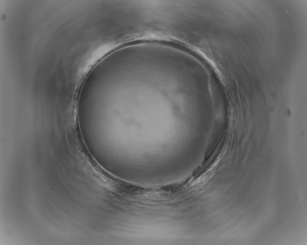 X0000090491367200707131317