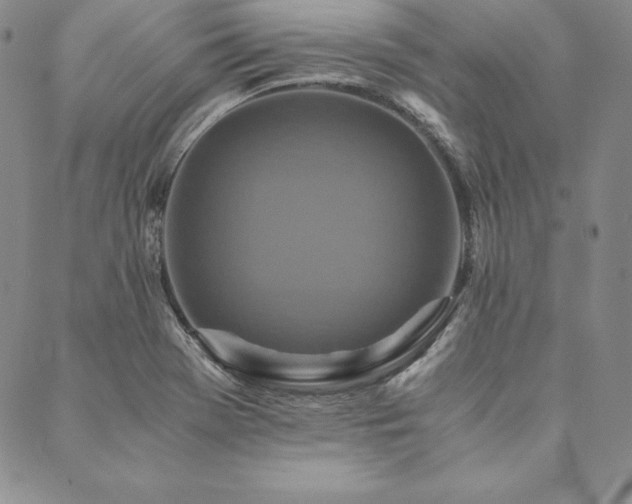 X0000090491369200707131317