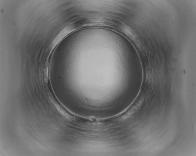 X0000090491370200707131317