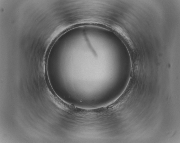 X0000090491372200707131317