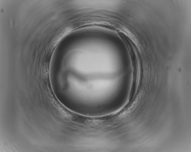 X0000090491377200707131316