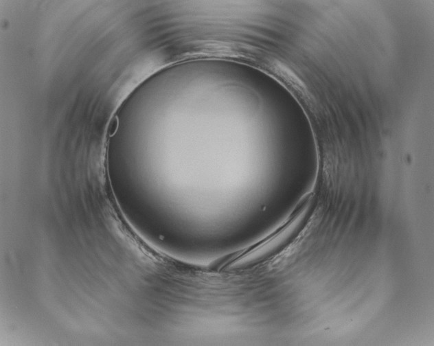 X0000090491378200707131316