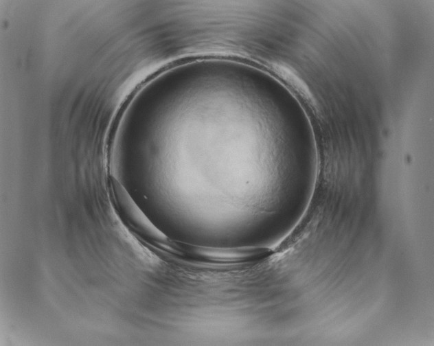 X0000090491380200707131316